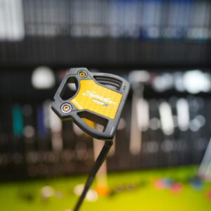 TaylorMade Spider Tour X +DeraMax 02P-125MH 33" Brand New